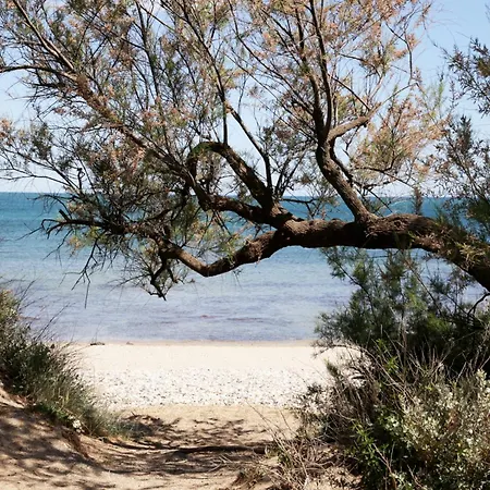 Apartmán Centre Port,vue Panoramique,clim,balcon,wifi *