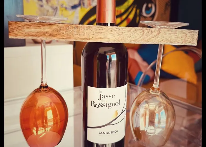 Centre Port,vue Panoramique,clim,balcon,wifi Apartamento Agde