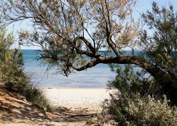 アパート Centre Port,vue Panoramique,clim,balcon,wifi *